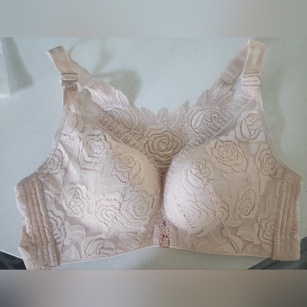 Floral Secrets Bra In Blush - Picture 2 of 3